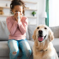 Say Goodbye to Allergies With the Best Home HVAC Home Air Filters